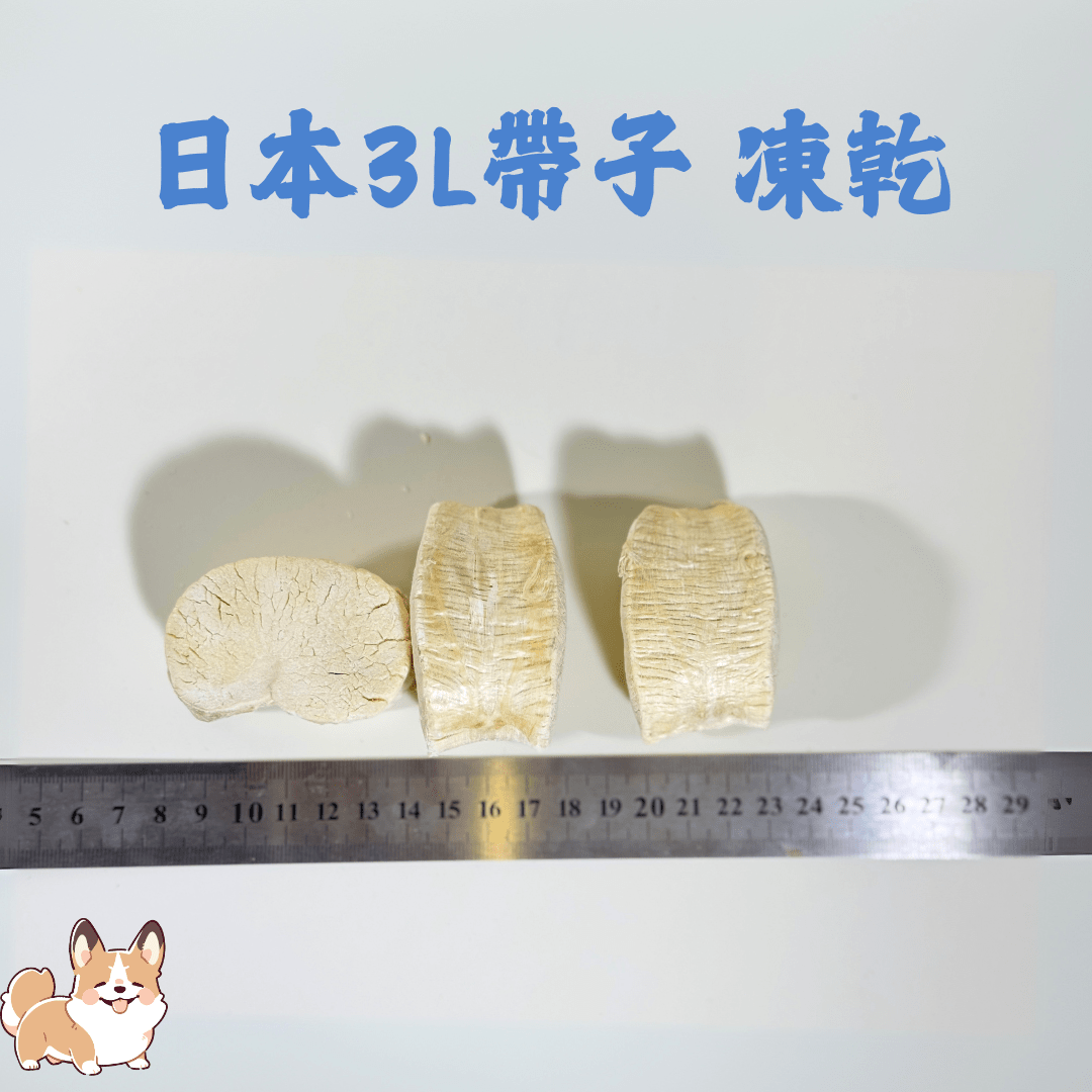 日本 3L 刺身帶子凍乾 - 汪喵小食 - Dcdogcatsnack