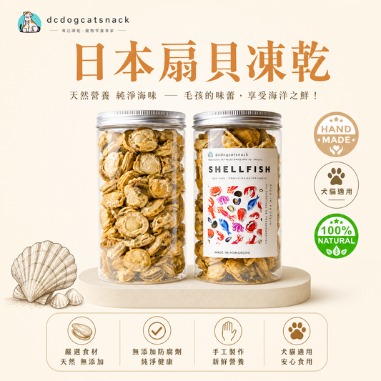 🐚日本扇貝凍乾-汪喵零食