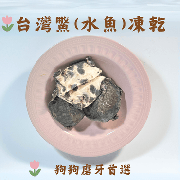 台灣水魚(鱉)凍乾 - 狗狗磨牙零食 - Dcdogcatsnack