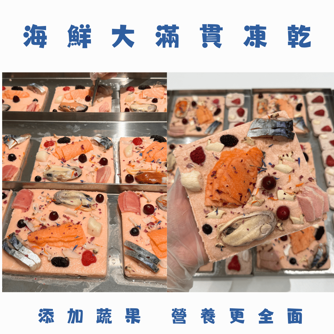 🐟 六款 海鮮大滿貫凍乾 - 貓狗零食 - Dcdogcatsnack