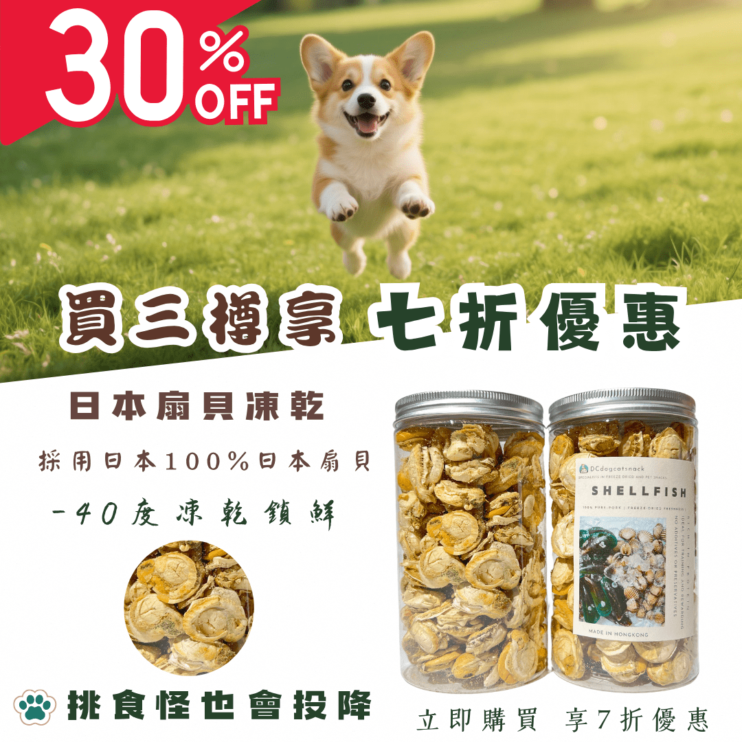 🐚日本扇貝凍乾 - 汪喵零食 - Dcdogcatsnack