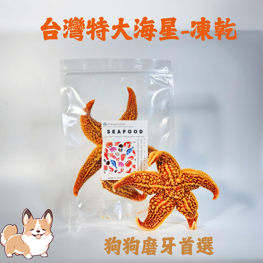 台灣特大海星凍乾 - 狗狗磨牙首選 - Dcdogcatsnack