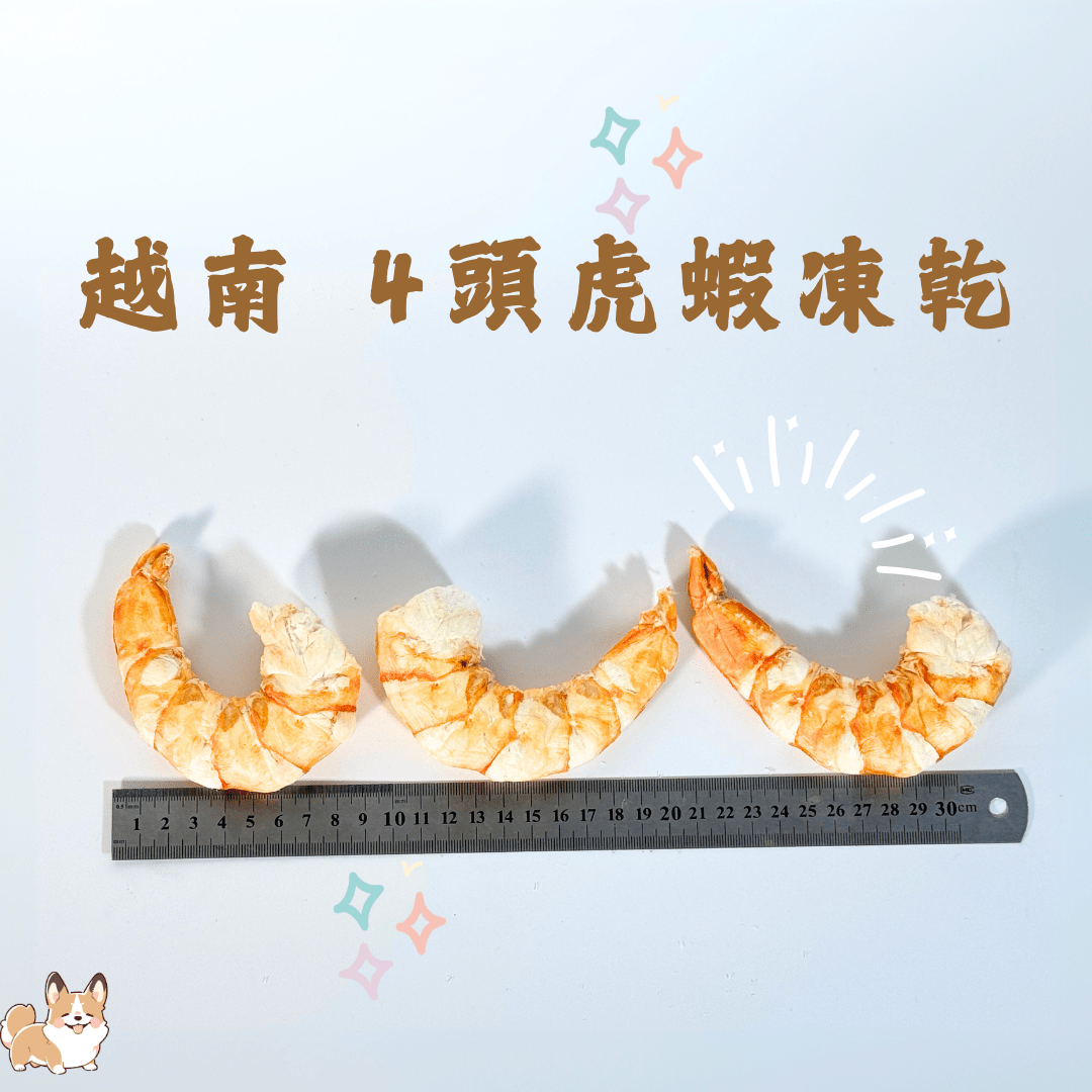 爆膏越南四頭特大虎蝦凍乾 - 汪喵小食 - Dcdogcatsnack