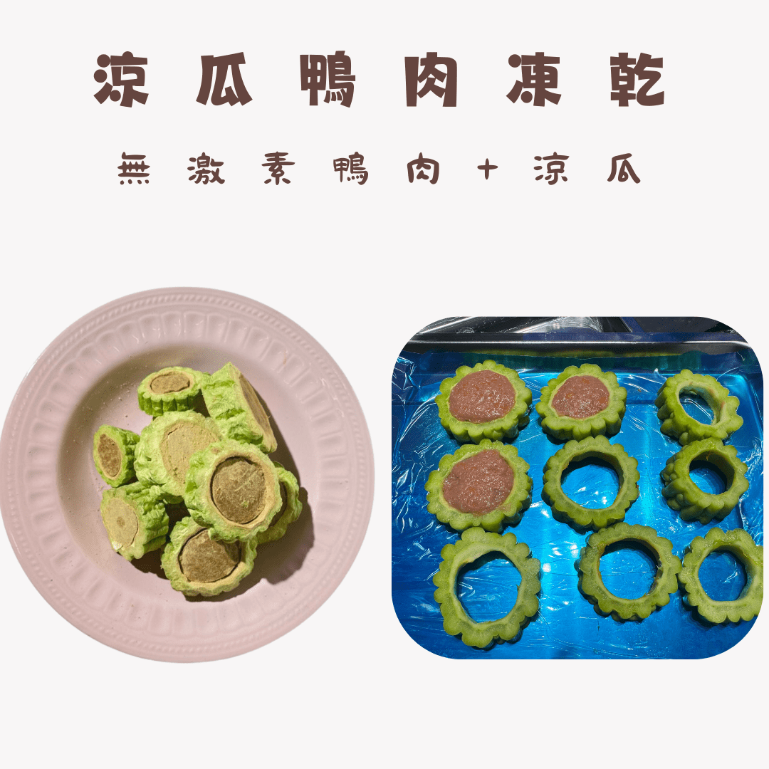 🦆「鴨肉涼瓜凍乾」汪喵小食 - Dcdogcatsnack