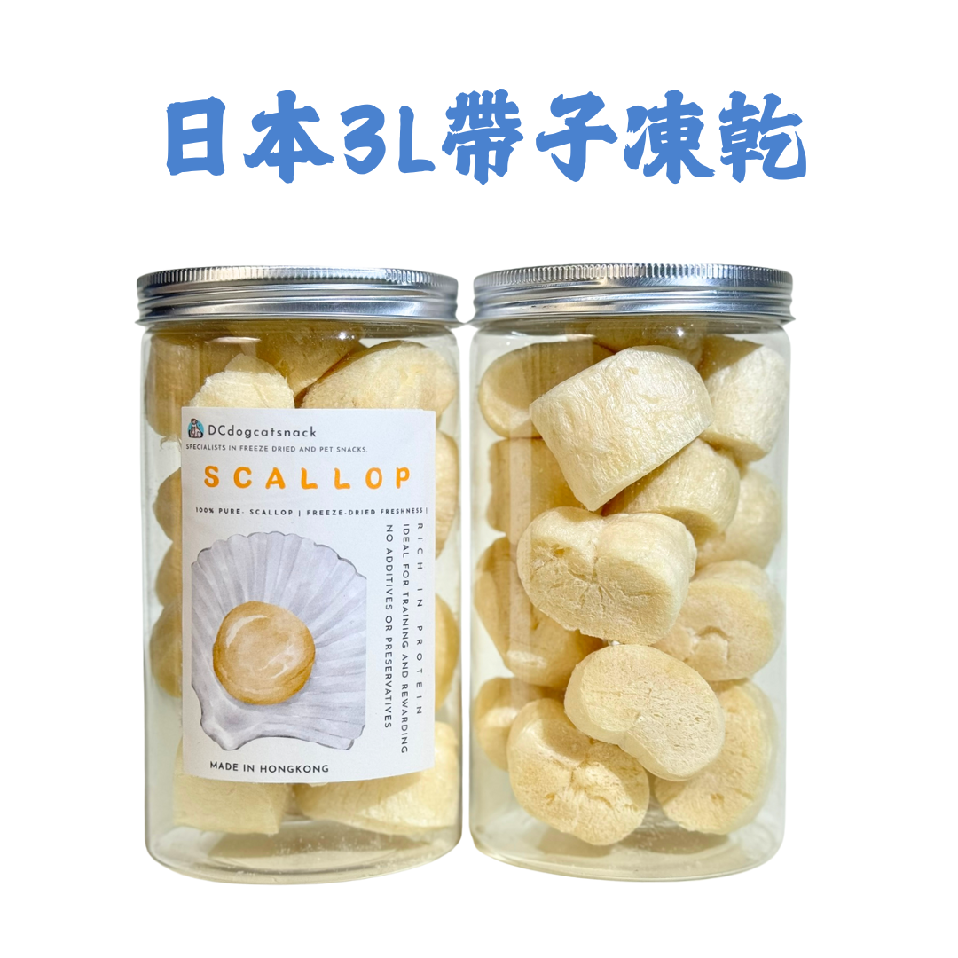 Japanese 3L Sashimi Scallop Freeze-Dried - Wang Miao Snacks