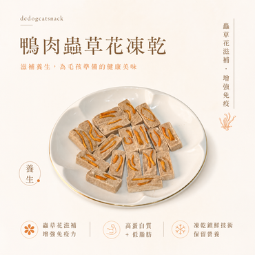 鴨肉蟲草花凍乾 - 滋補養生 單一肉源 (無添加)