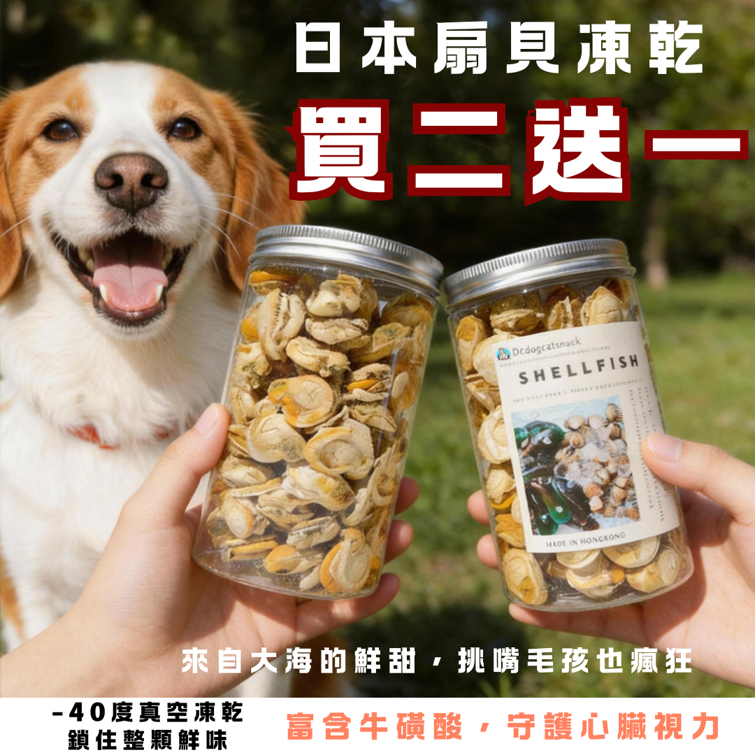 🐚「買二送一」日本扇貝凍乾-汪喵零食