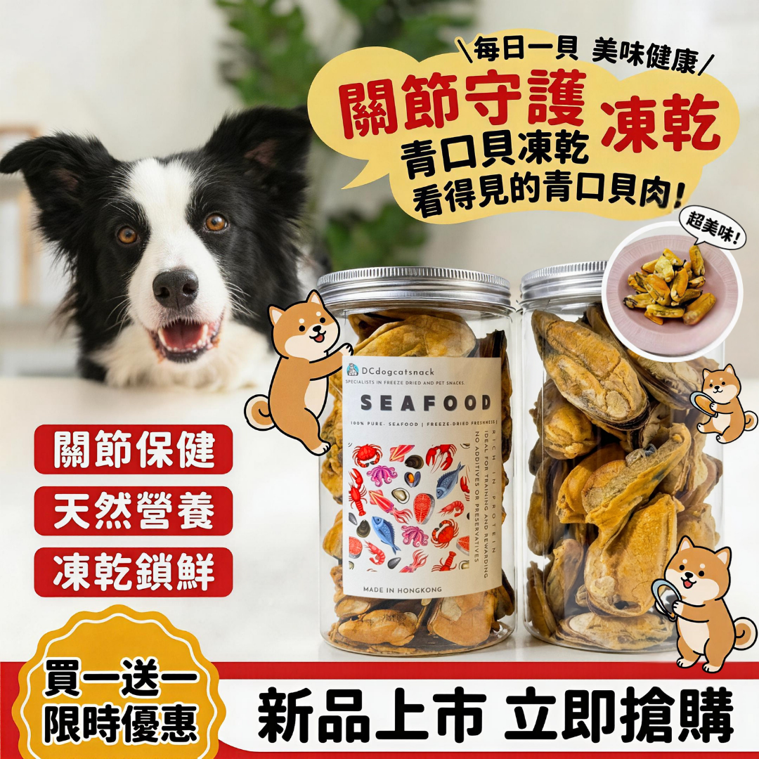 「買一送一」🐚紐西蘭大隻青口貝-貓狗脫水凍乾零食