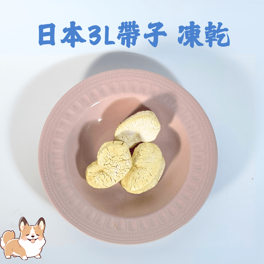 🎁免費禮品 日本 3L 刺身帶子凍乾 - Dcdogcatsnack