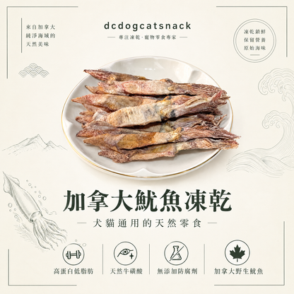 【純淨海味】加拿大野生魷魚凍乾 🦑 高蛋白低脂・富含天然牛磺酸｜犬貓通用無添加零食 (-40°C 鎖鮮)
