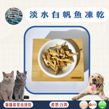 🐟淡水白帆魚凍乾 - 貓狗零食 - Dcdogcatsnack