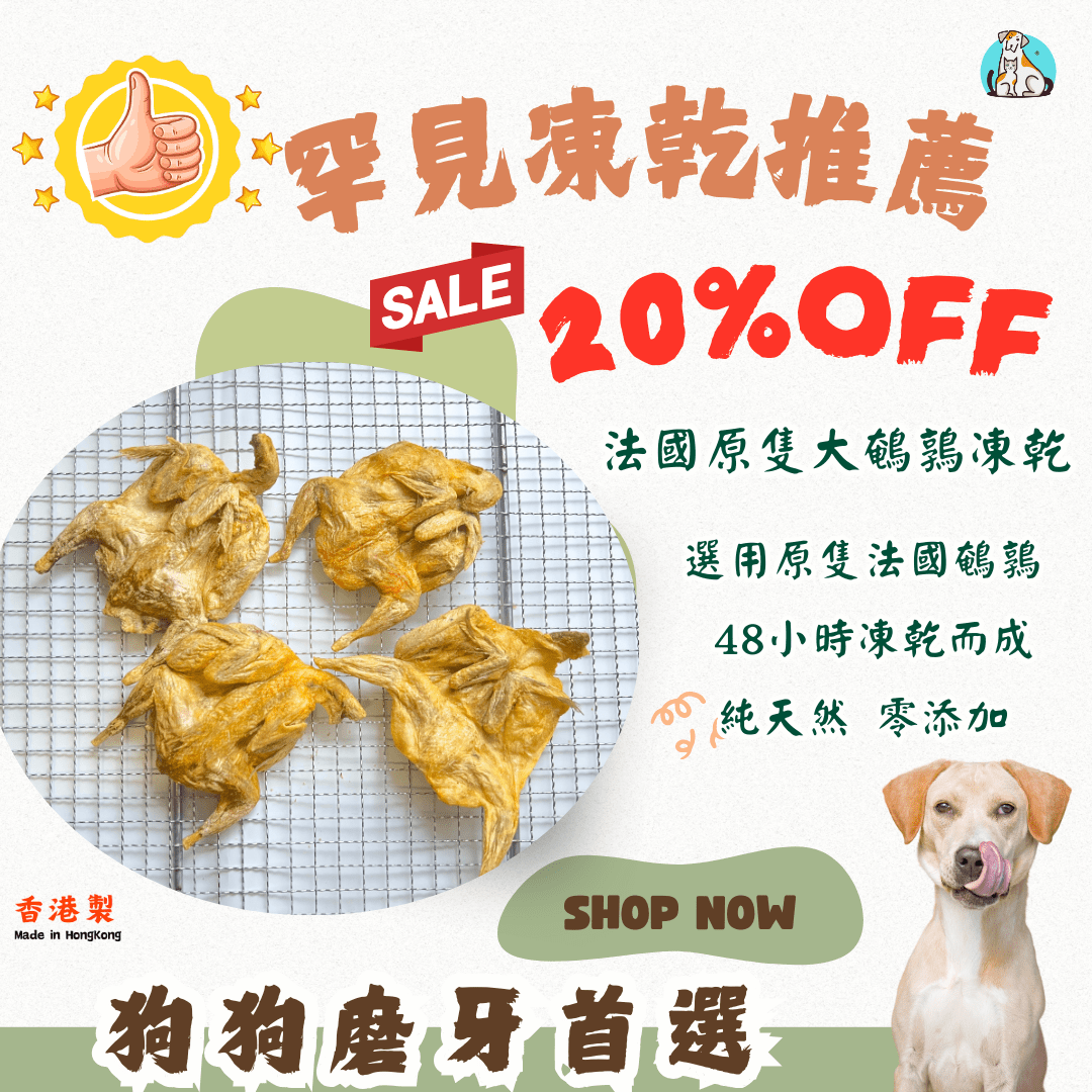 🇫🇷法國原隻大鵪鶉 - 狗狗脫水凍乾零食 - Dcdogcatsnack