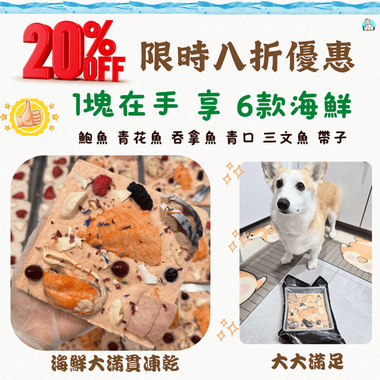 🐟 六款 海鮮大滿貫凍乾 - 貓狗零食 - Dcdogcatsnack