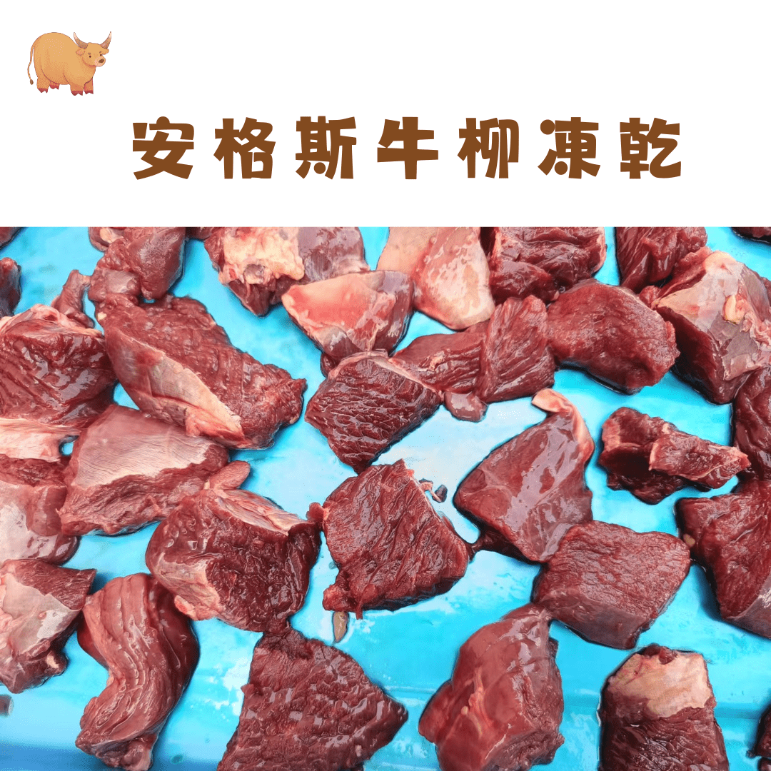 🐮安格斯牛柳凍乾 - 汪喵零食 - Dcdogcatsnack