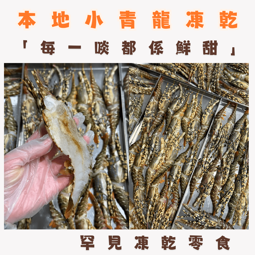 🦞本地小青龍凍乾 - 貓狗零食 - Dcdogcatsnack