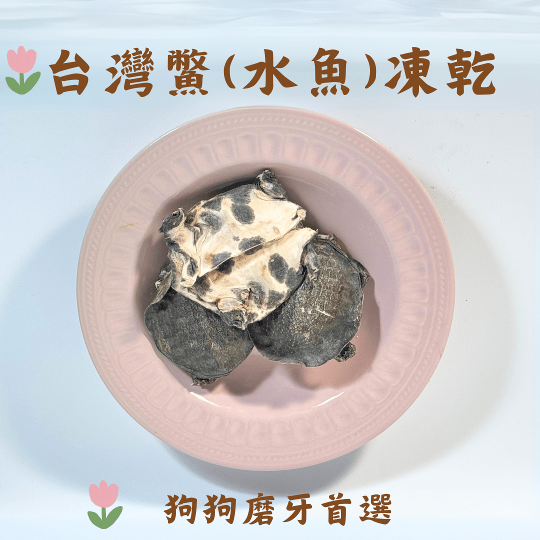 台灣水魚(鱉)凍乾 - 狗狗磨牙零食 - Dcdogcatsnack