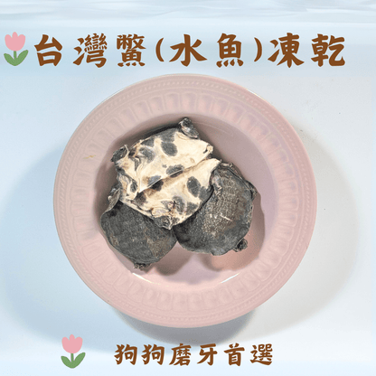 台灣水魚(鱉)凍乾 - 狗狗磨牙零食 - Dcdogcatsnack