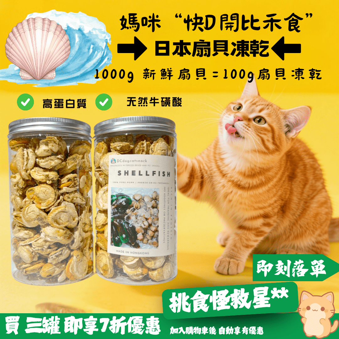 🐚日本扇貝凍乾 - 汪喵零食 - Dcdogcatsnack