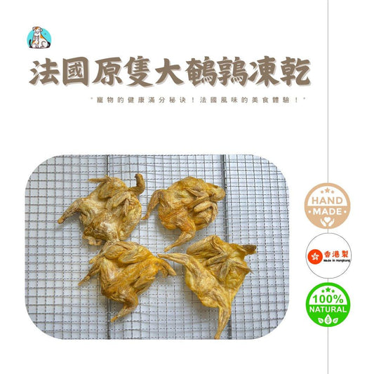 🇫🇷法國原隻大鵪鶉-狗狗脫水凍乾零食 - Dcdogcatsnack