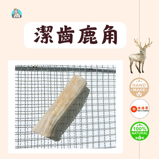 潔齒 紐西蘭鹿角-超耐啃 - Dcdogcatsnack